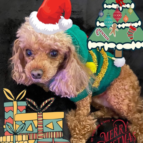 Meet Your Posher, Robin! - Picture 11 of 16